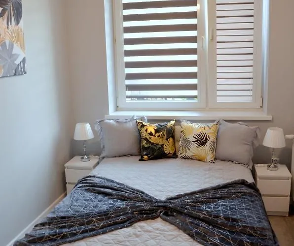 Deluxe 1 公寓 奥斯威辛