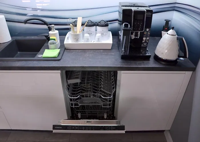 Deluxe 1 公寓 奥斯威辛